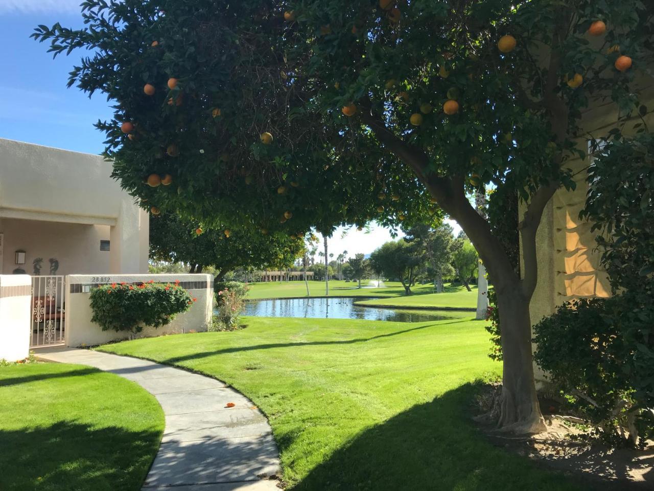 Palm Springs-Desert Princess Country Club Villa Cathedral City Eksteriør bilde
